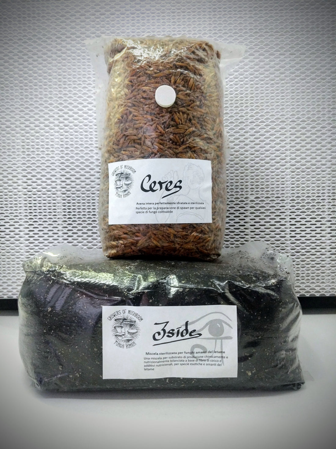 Coltivare funghi con il nostro Starter Kit!