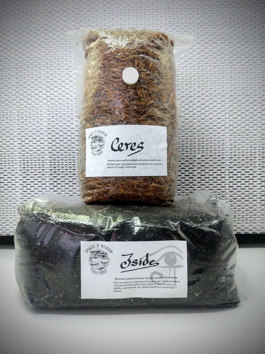 Coltivare funghi con il nostro Starter Kit!