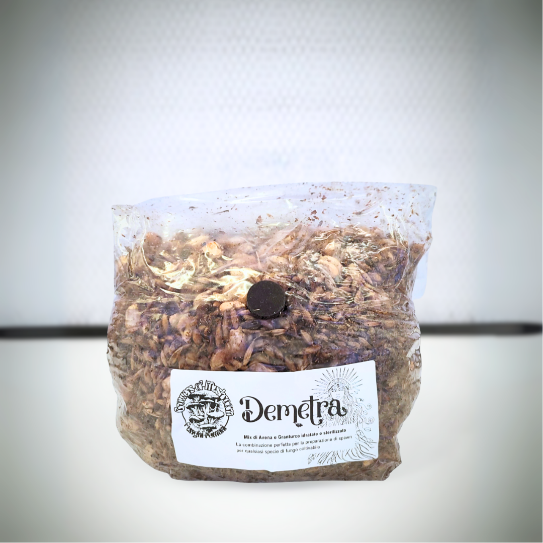 Demetra: 1.5kg Mix di Cereali Sterilizzato per Grain Spawn