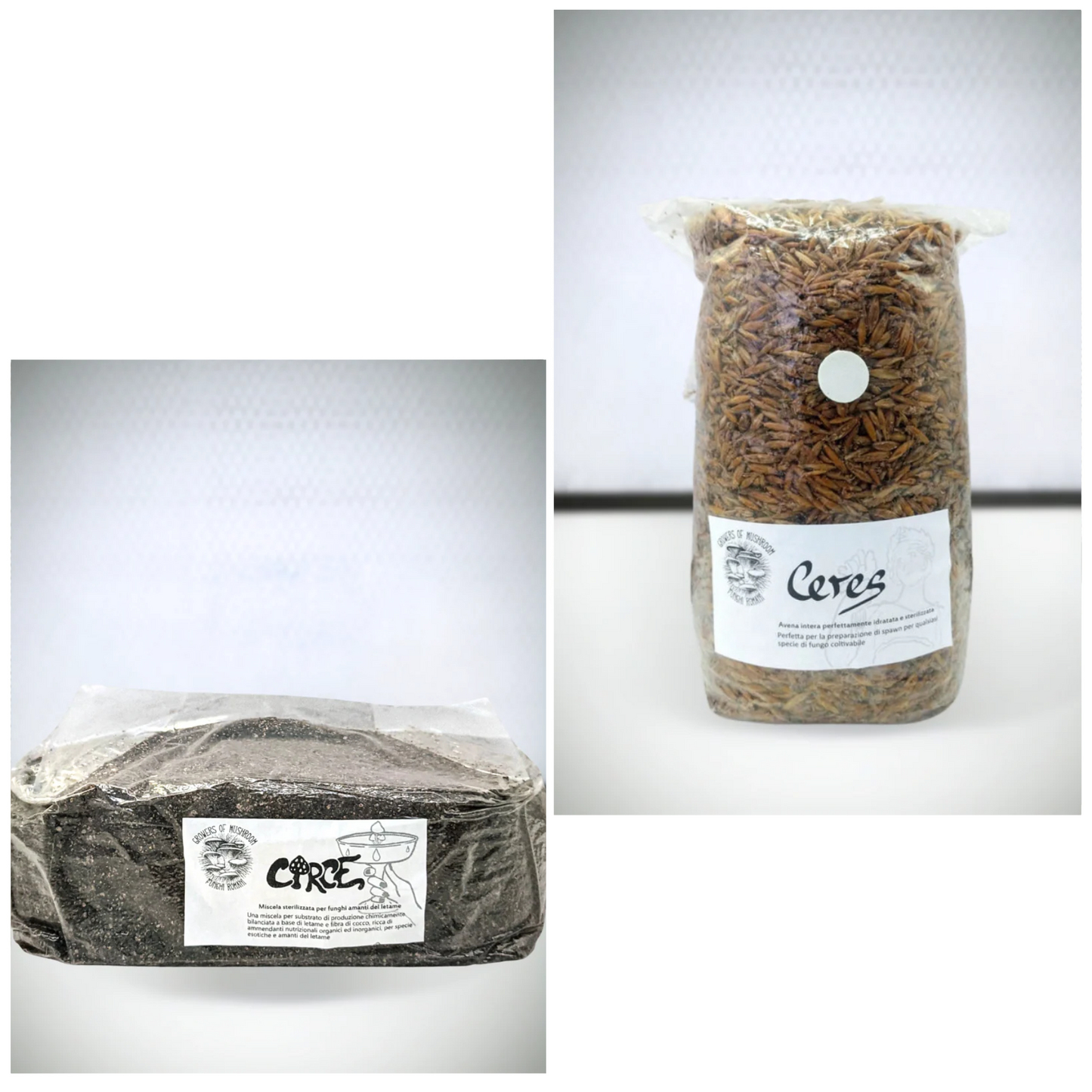 Magic Bundle Circe - Ceres: 1.5kg Sterilized Oats + Circe: 2.5kg Manure Substrate