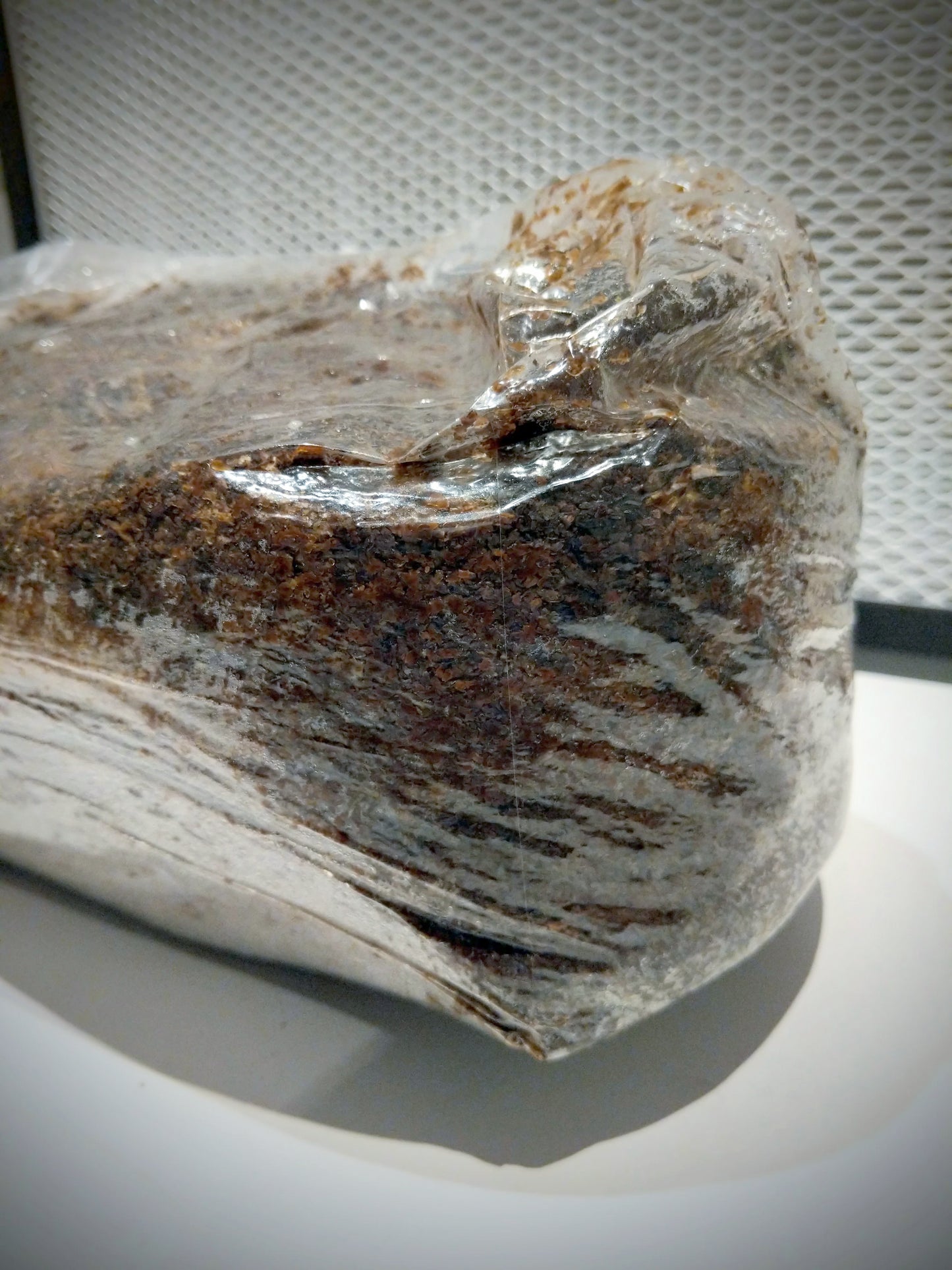 Substrato per la produzione di funghi sterilizzato a base di legno
