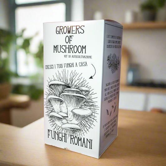 kit per la coltivazione di funghi gourmet con scatola di presentazione