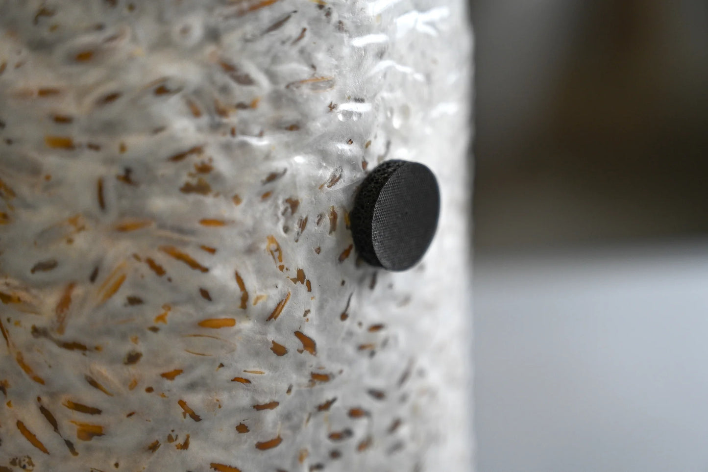 Klebstoffinjektionsanschlüsse