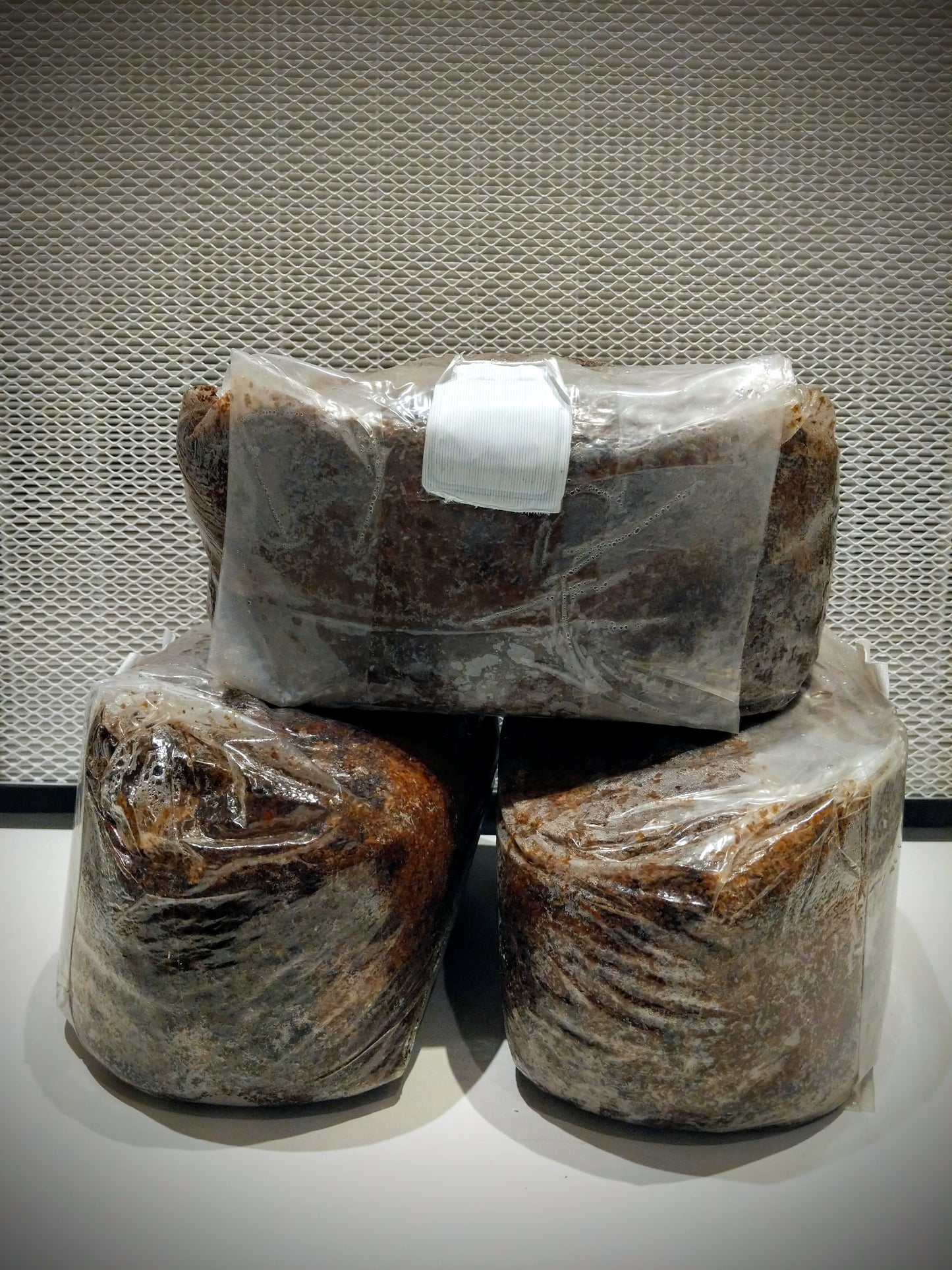 Vacuna: 2.5kg of Sterilized Substrate for production - Wood Base
