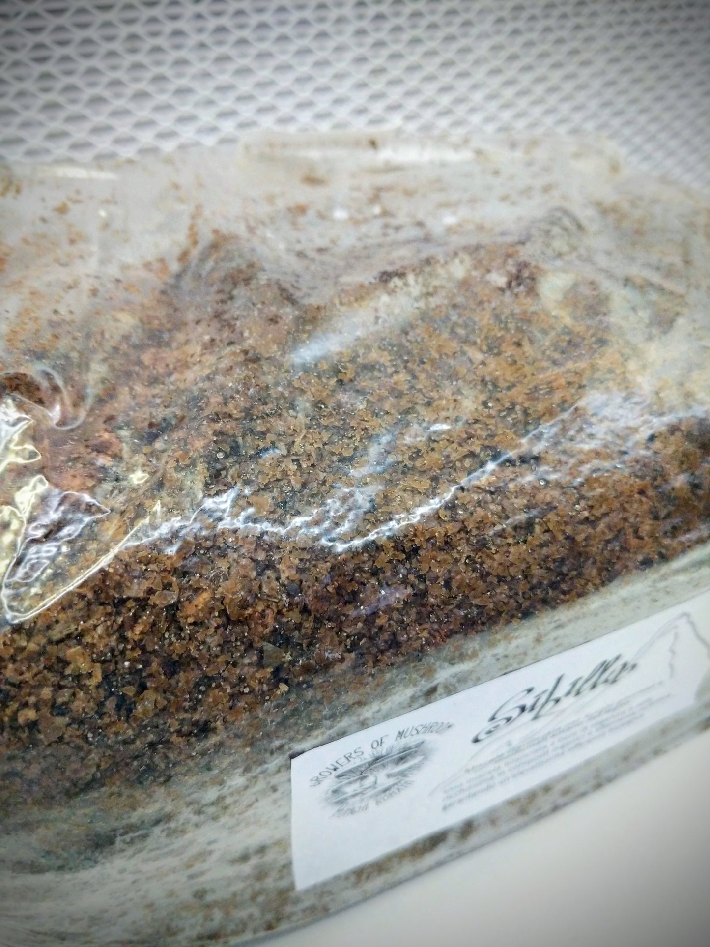 Sibilla: 2,5 kg sterilisiertes Substrat für die Produktion – Holzsockel