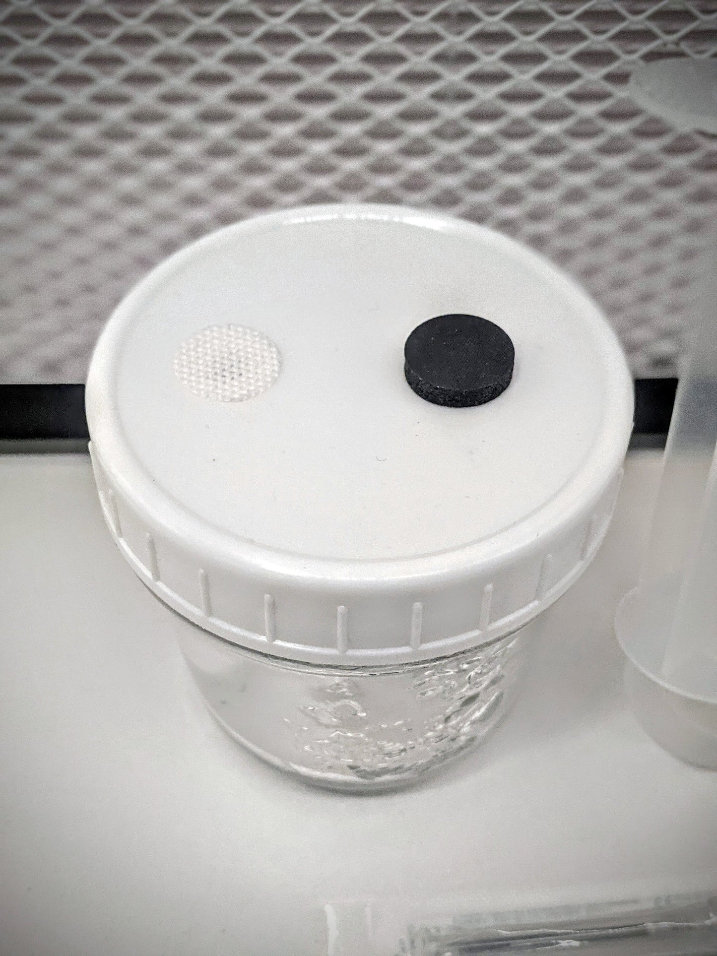 Liquid Culture Kit - Ready to use!