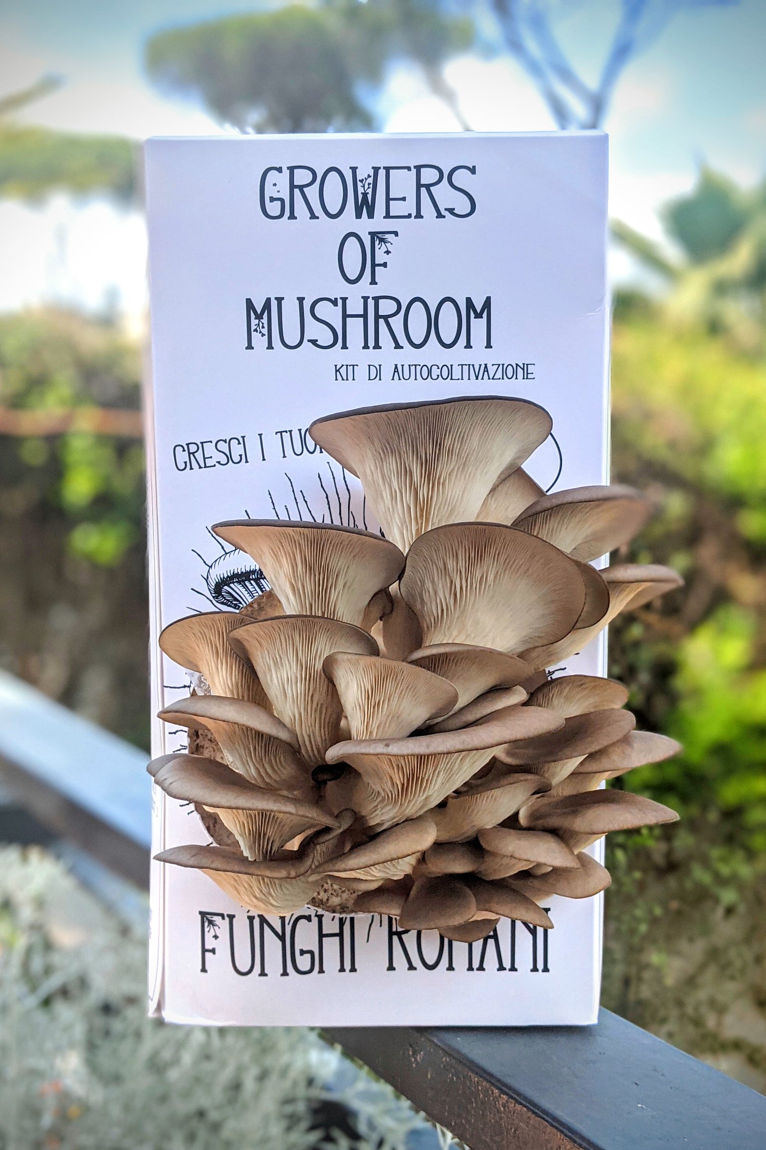 Kit di Autocoltivazione di Funghi Gourmet