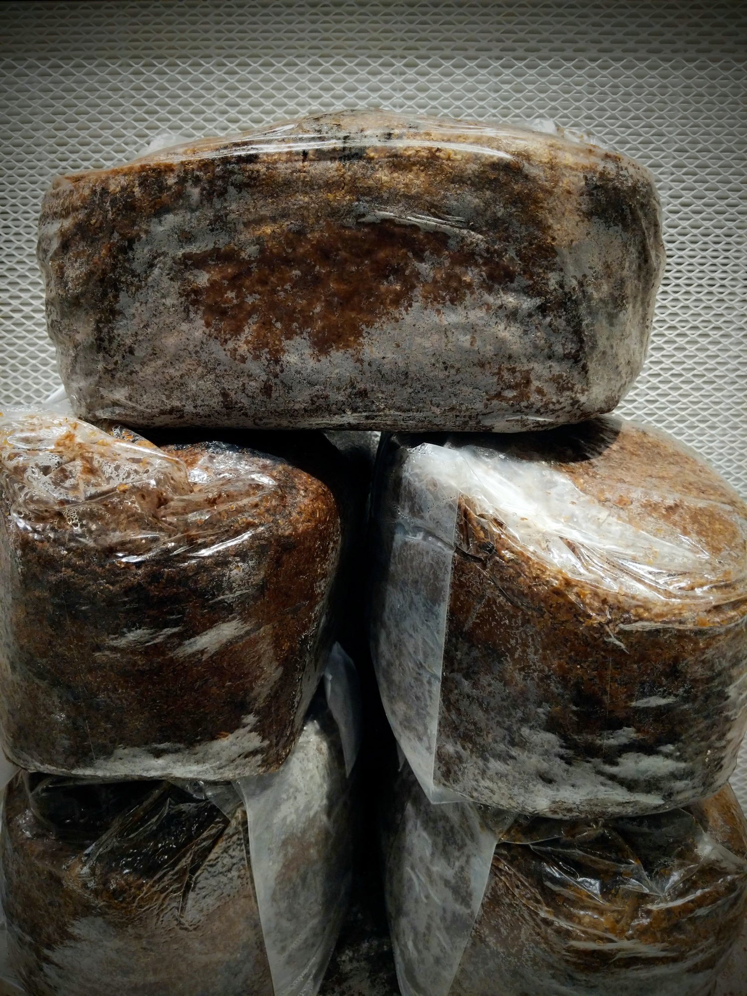 Sconti Bulk
