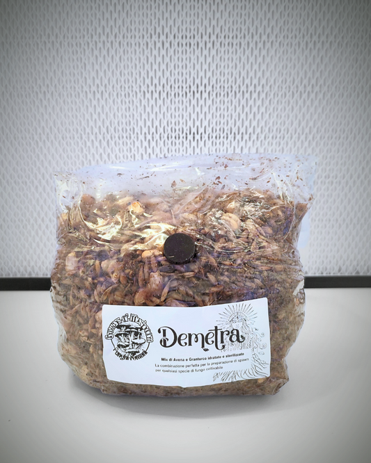 Demetra: 1.5kg Sterilized Cereal Mix for Grain Spawn