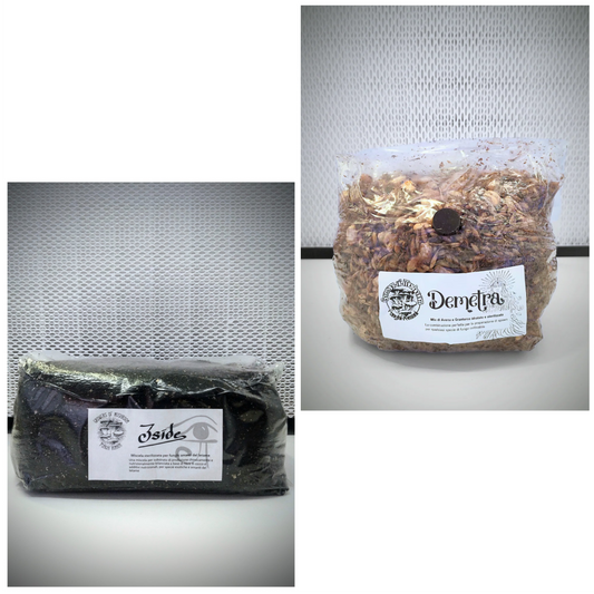 Magic Bundle Iside - Demetra: 1.5kg Mix Cereali sterilizzata + Iside: 3kg Substrato di Cocco