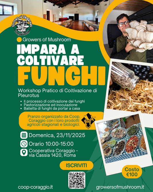 Workshop sulla Coltivazione di Funghi Pleurotus - 23 Novembre 2025
