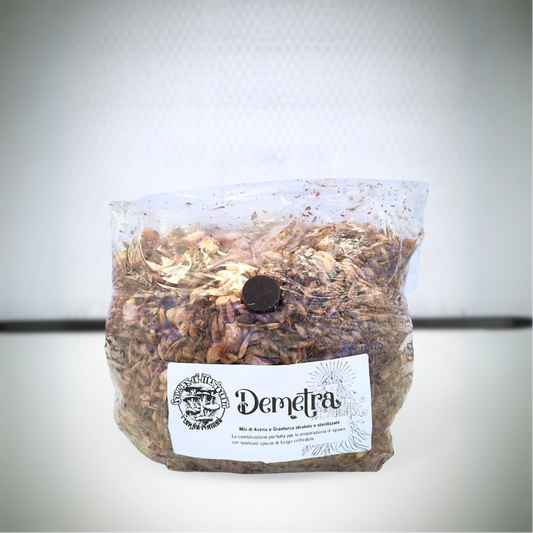 Bulk Demetra: 1.5kg Mix di Cereali Sterilizzato per Grain Spawn