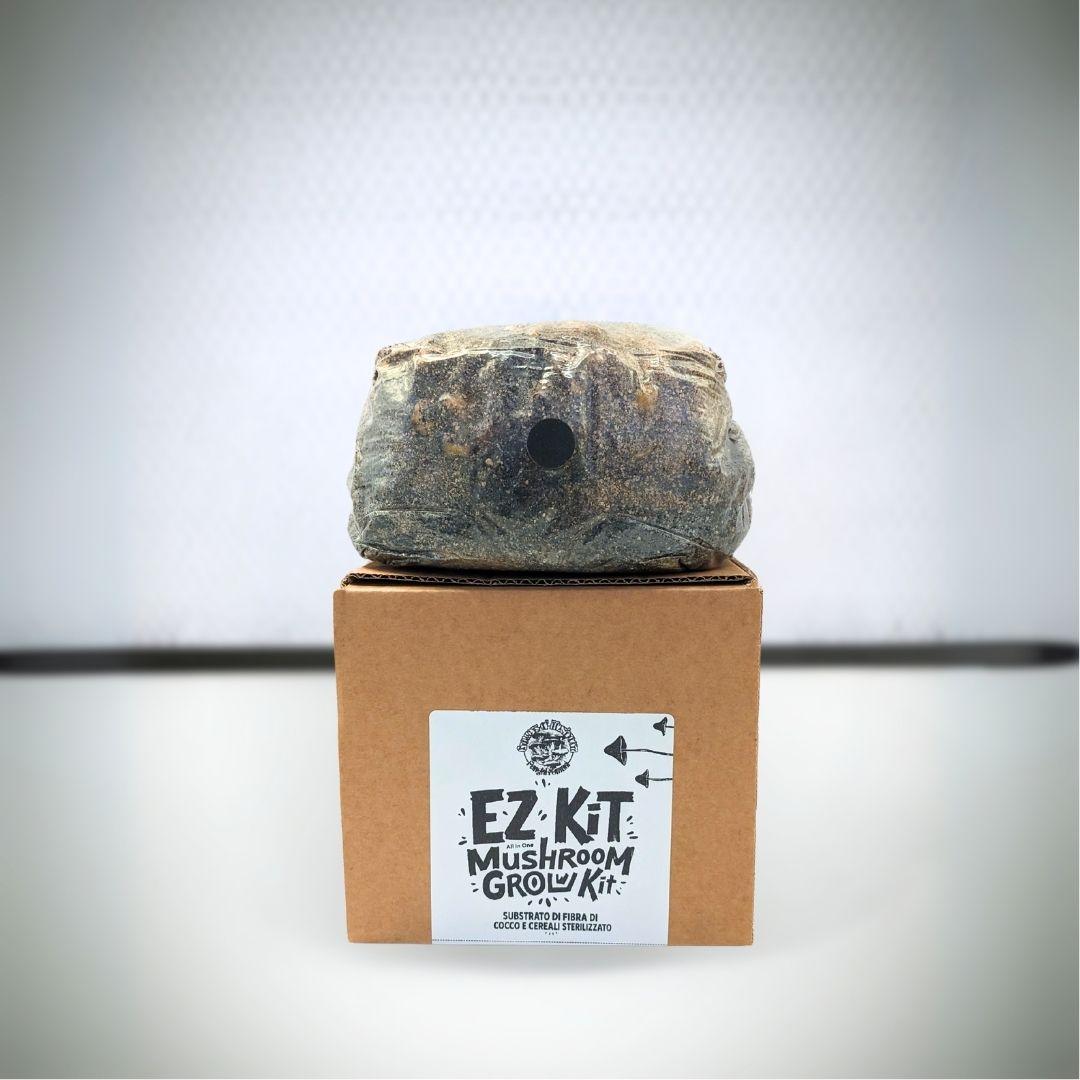 EZ Kit - All in One Mushroom Grow Kit