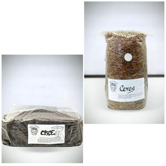 Magic Bundle Circe - Ceres: 1.5kg Avena sterilizzata + Circe: 2.5kg Substrato di Letame