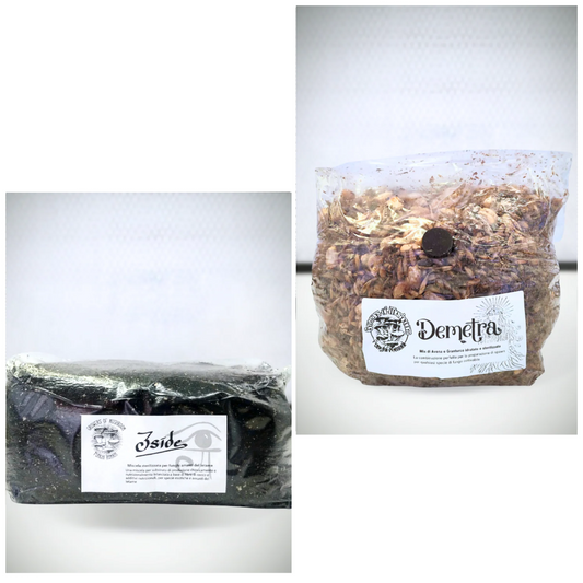 Magic Bundle Iside - Demetra: 1.5kg Sterilized Cereal Mix + Iside: 3kg Coconut Substrate