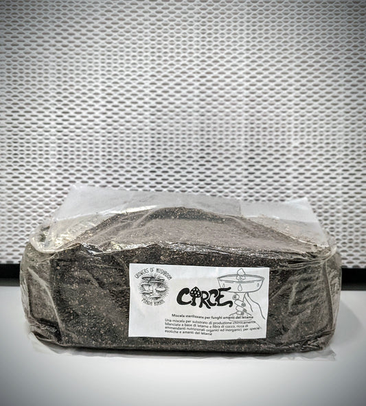 Circe: 2,5 kg Sustrato esterilizado para producción - Base Estiércol