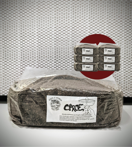 Bulk Circe: 2.5 kg Substrato sterilizzato per la produzione - Base di Letame