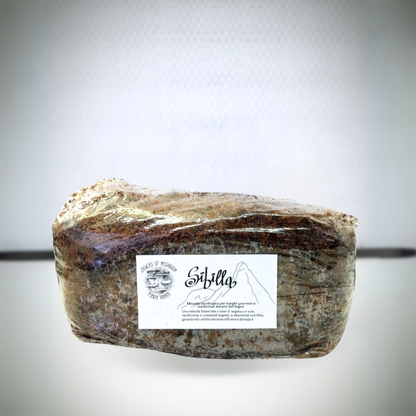 Sibilla: 2.5kg di Substrato sterilizzato per la produzione - Base di legno