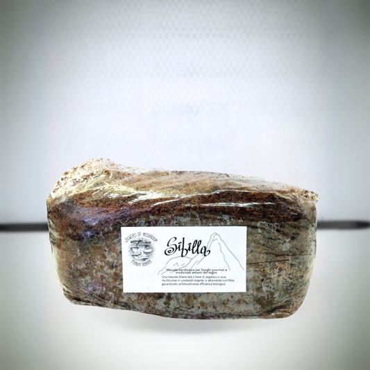 Sibilla: 2.5kg di Substrato sterilizzato per la produzione - Base di legno