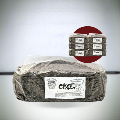 Bulk Circe: 2.5 kg Substrato sterilizzato per la produzione - Base di Letame