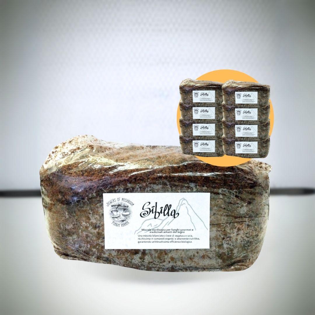 Bulk Sibilla: 2.5kg di Substrato sterilizzato per la produzione - Base di legno