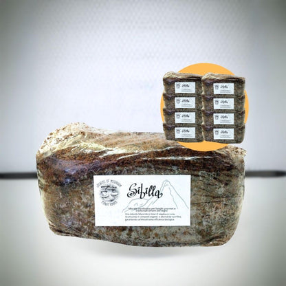 Bulk Sibilla: 2.5kg di Substrato sterilizzato per la produzione - Base di legno
