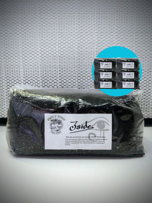Bulk Iside: 3kg Substrato sterilizzato per la produzione - Base di Fibra di Cocco