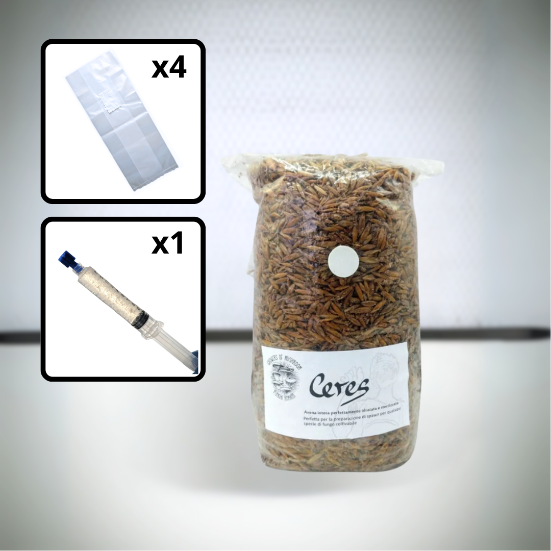 Kit avanzato per la coltivazione di funghi gourmet a casa. Cereale sterilizzato e micelio in coltura liquida per l'inoculazione di substrato. Sacchi per micologia Unicorn Bags
