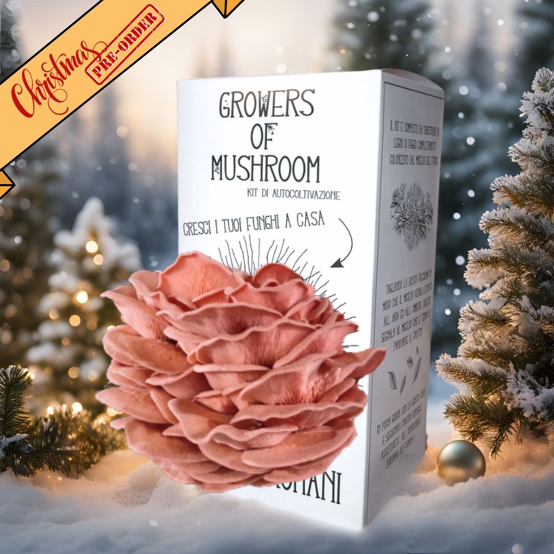 Kit di Autocoltivazione - Pleurotus djamor - Pink Oyster