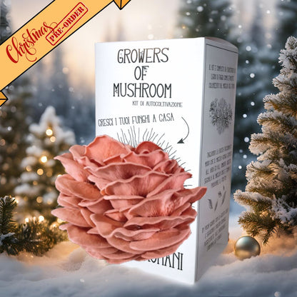Kit di Autocoltivazione - Pleurotus djamor - Pink Oyster