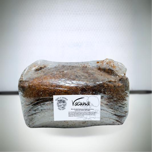 Vacuna: 2.5kg di Substrato Sterilizzato per la produzione - Base di Legno