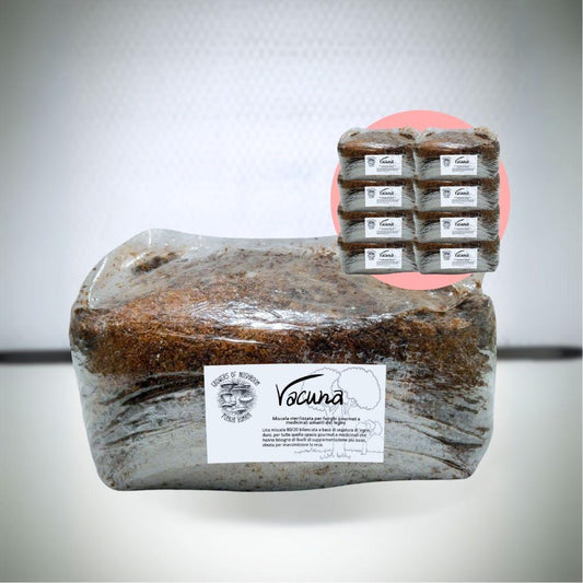 Bulk Vacuna: 2.5kg di Substrato Sterilizzato per la produzione - Base di Legno