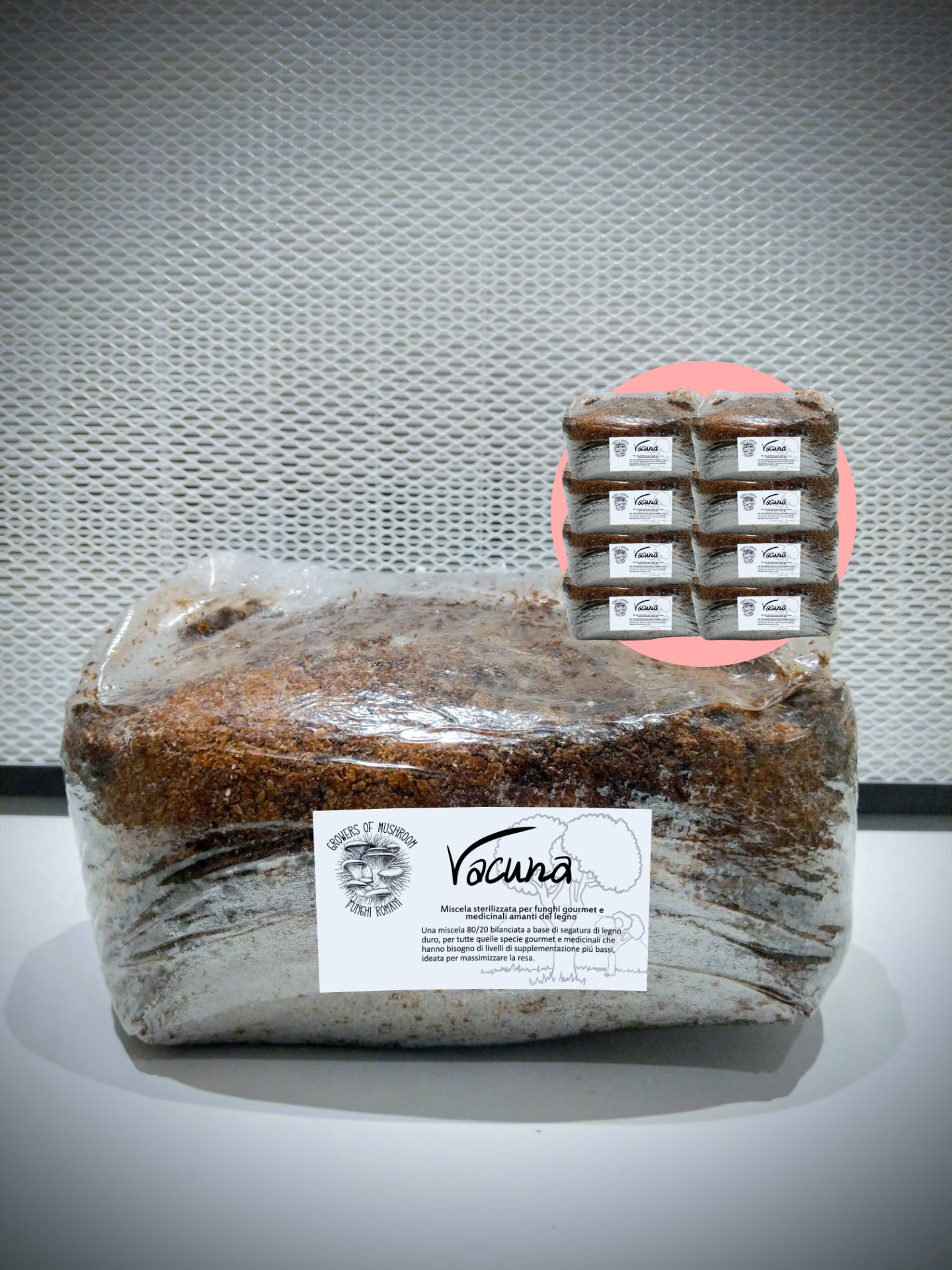 Bulk Vacuna: 2.5kg di Substrato Sterilizzato per la produzione - Base di Legno
