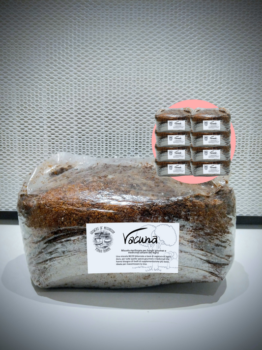 Bulk Vacuna: 2.5kg di Substrato Sterilizzato per la produzione - Base di Legno