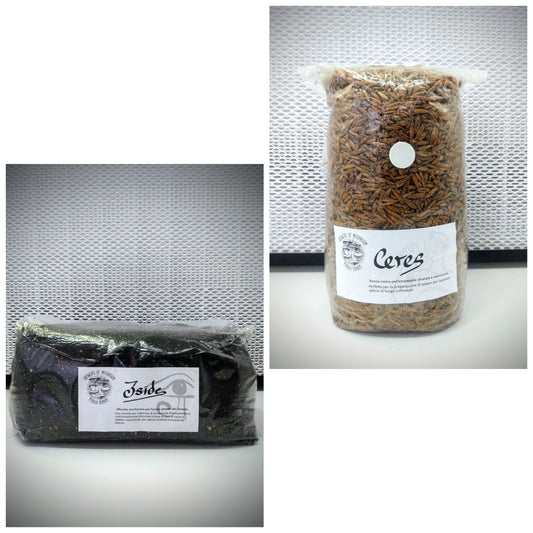 Magic Bundle Iside – Ceres: 1,5 kg sterilisierter Hafer + Iside: 3 kg Kokossubstrat