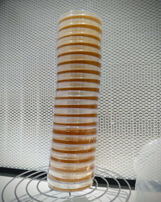 Pre-poured sterile Agar plates (MEA)