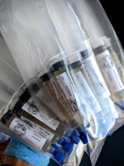 Kit Avanzato per la coltivazione di Funghi Gourmet