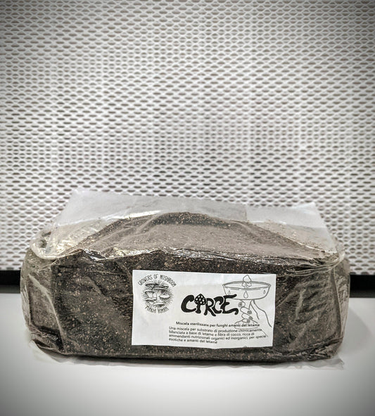 Bulk Circe: 2,5 kg Sterilisiertes Substrat für die Produktion – Güllebasis 